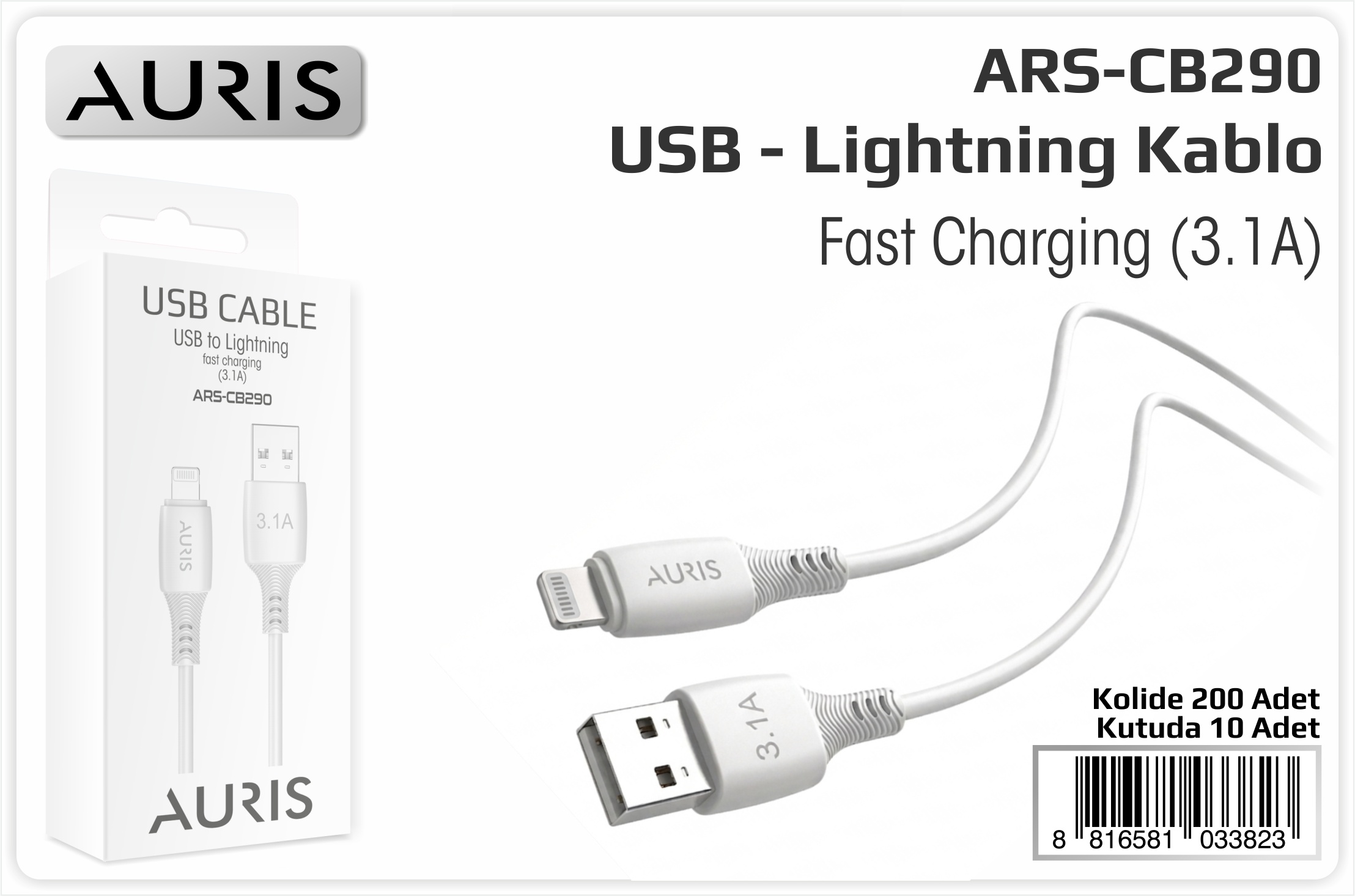 CB290 3.1A Lightning Usb Kablo Eco