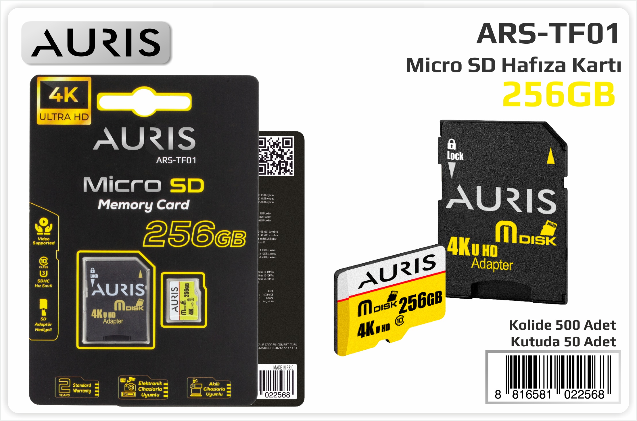 TF01/256 GB MicroSD